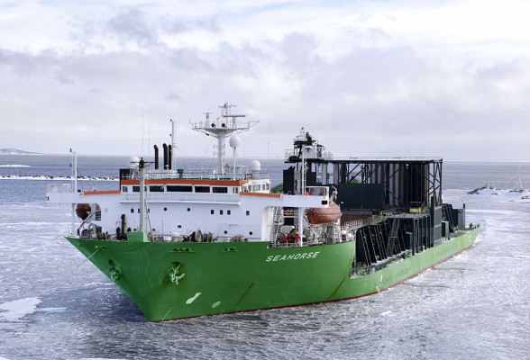 Seahorse stone dumping vessel