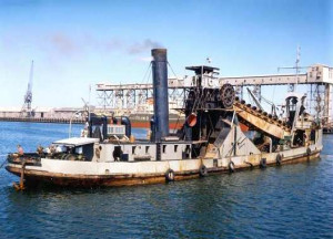 Parmelia or D9 by www.HRSMS.org