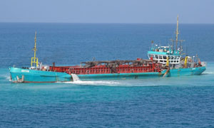 Anton - trailing suction hopper dredger