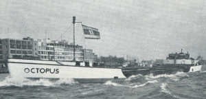 Octopus