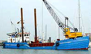 Elisabeth Hoj clamshell