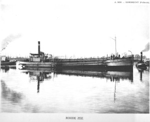 Roode Zee steekhopper zuiger