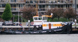 Johanna van der Wees