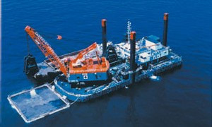 Kanyu no. 2 clamshell