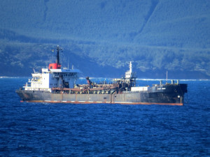 Lady Gina tshd