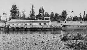 Luckiamute - cutterdredger