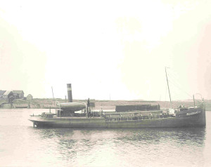 MAASMOND V UNTIL XVI