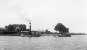 Mexico steekhopper zuiger