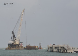 Paula Lee - grab dredger