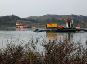 Rietgors profielzuiger