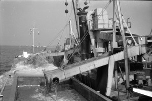 Rival II - suction dredge
