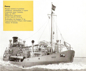 Pansy - trailing suction hopper dredger