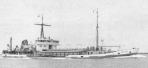Tees Bay tshd