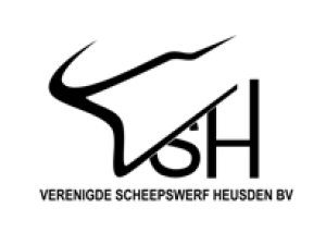 Verenigde Scheepswerf Heusden BV