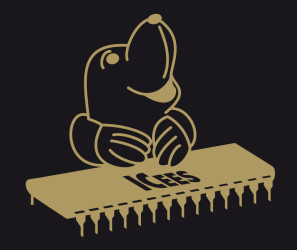 ICees Service Center