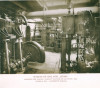 37_hydra_p.kamer_