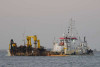 PINTA1