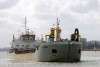 Pinta-239099