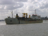 Pinta-239101
