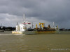 Pinta-239103