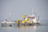 Pinta-542277