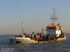 Vl.1-Westerschelde