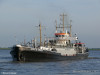 Wilhelm-Krueger-550591
