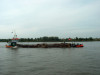 adelaar_-_woudrichem