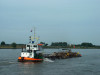 adelaar_woudrichem_mei_2008