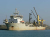 AVH1