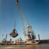 clamshell_haringvliet