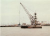 clamshell_haringvliet