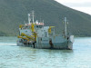 debougainville_n0156
