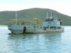 debougainville_n0161