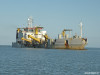 debougainville_n0372