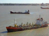 draga-d-7-1141309