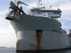 Vasco da Gama - ©Luc Verley