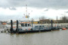 hendrik_geeraert_hoofd
