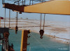 jumaira_bay_crane_dubai_habour_1981