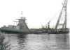 krammer_volker_2