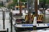 The Theodurus in Dordrecht (NL)