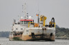 pinta-1016445