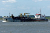 pinta-1168285