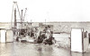 polyp - BUCKETWHEEL DREDGER