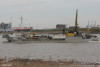 taccola-1105495