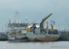 taccola-1127433