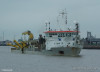taccola-887387
