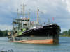 wilhelm-krueger-1154529