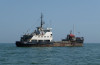 zvekov_ship_2010_g2